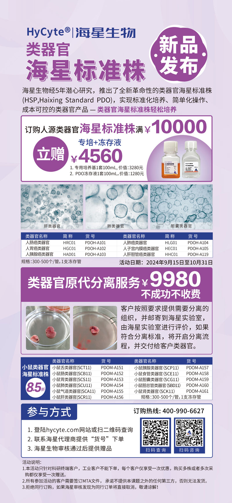 类器官海星标准株2.jpg