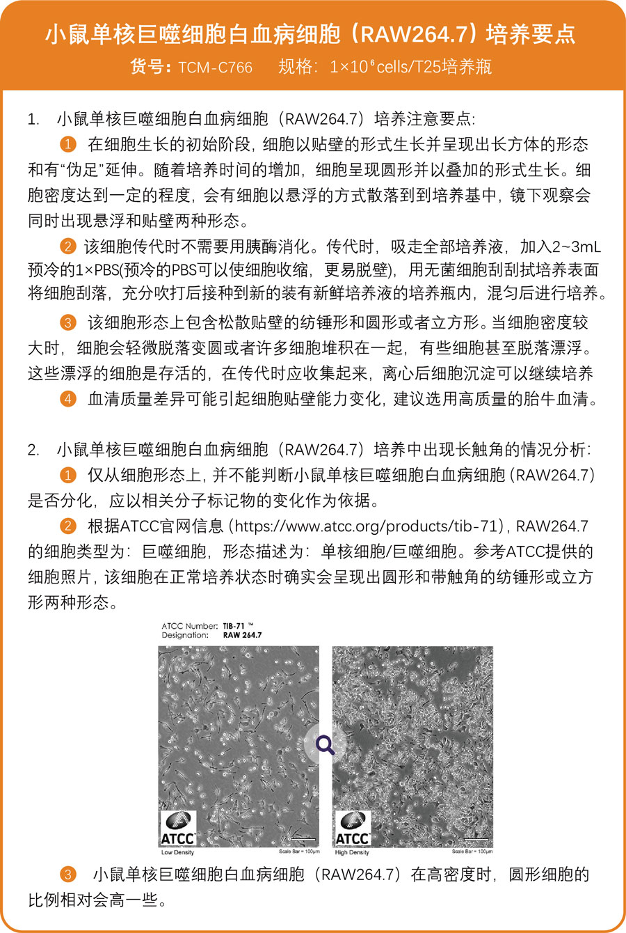 RAW264.7培养要点.jpg RAW264.7培养要点.jpg