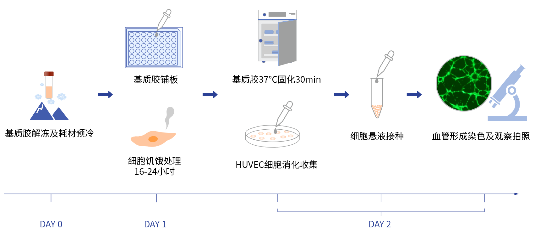 /ueditor/image/2025/01/06/4453ec63313e1863e59e3def6d7b8c6e.png /ueditor/image/2025/01/06/4453ec63313e1863e59e3def6d7b8c6e.png