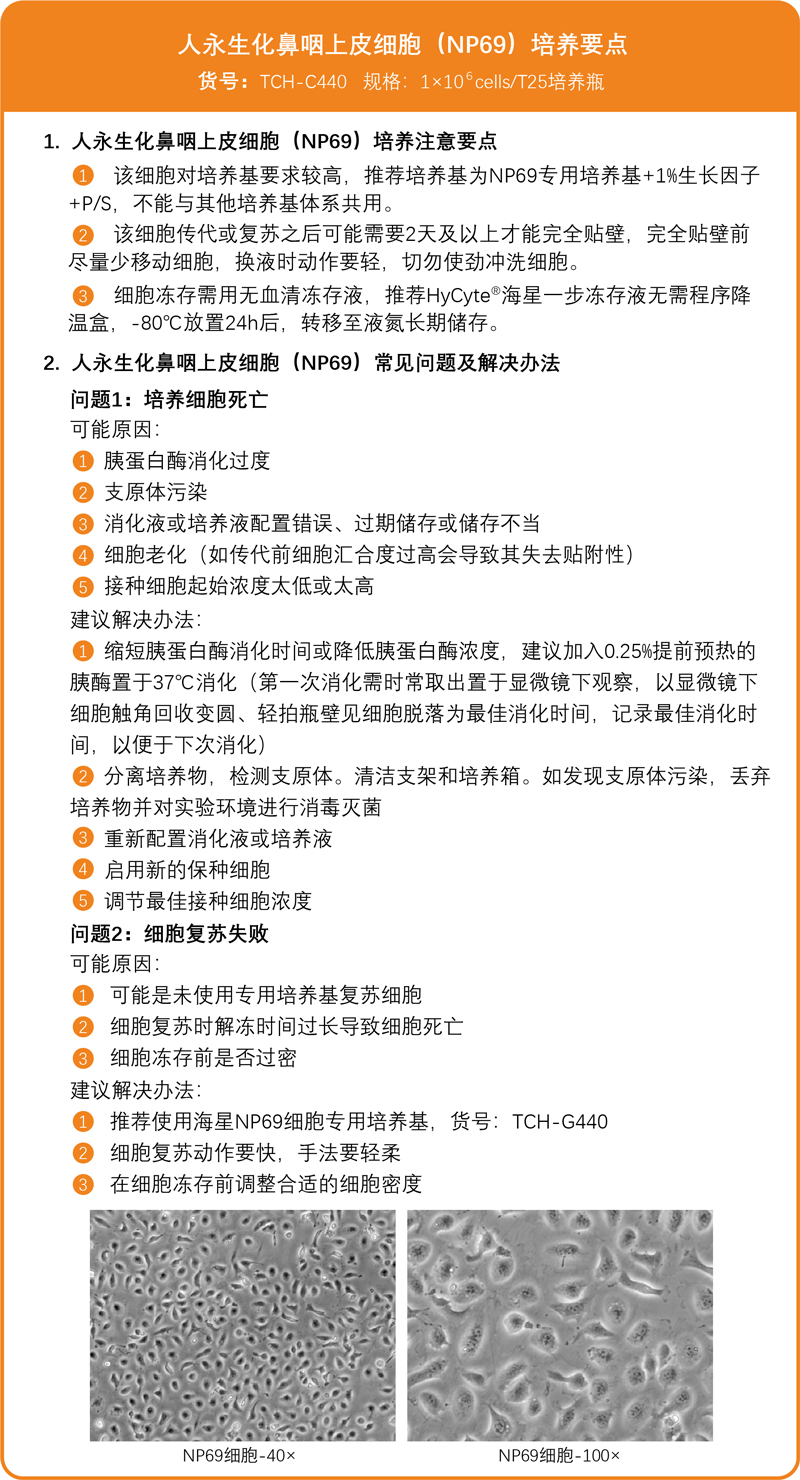 /ueditor/image/2025/02/13/acaeabc96aec9e905b3b32efae3a1e78.jpg 人永生化鼻咽上皮细胞(NP69)培养要点.jpg