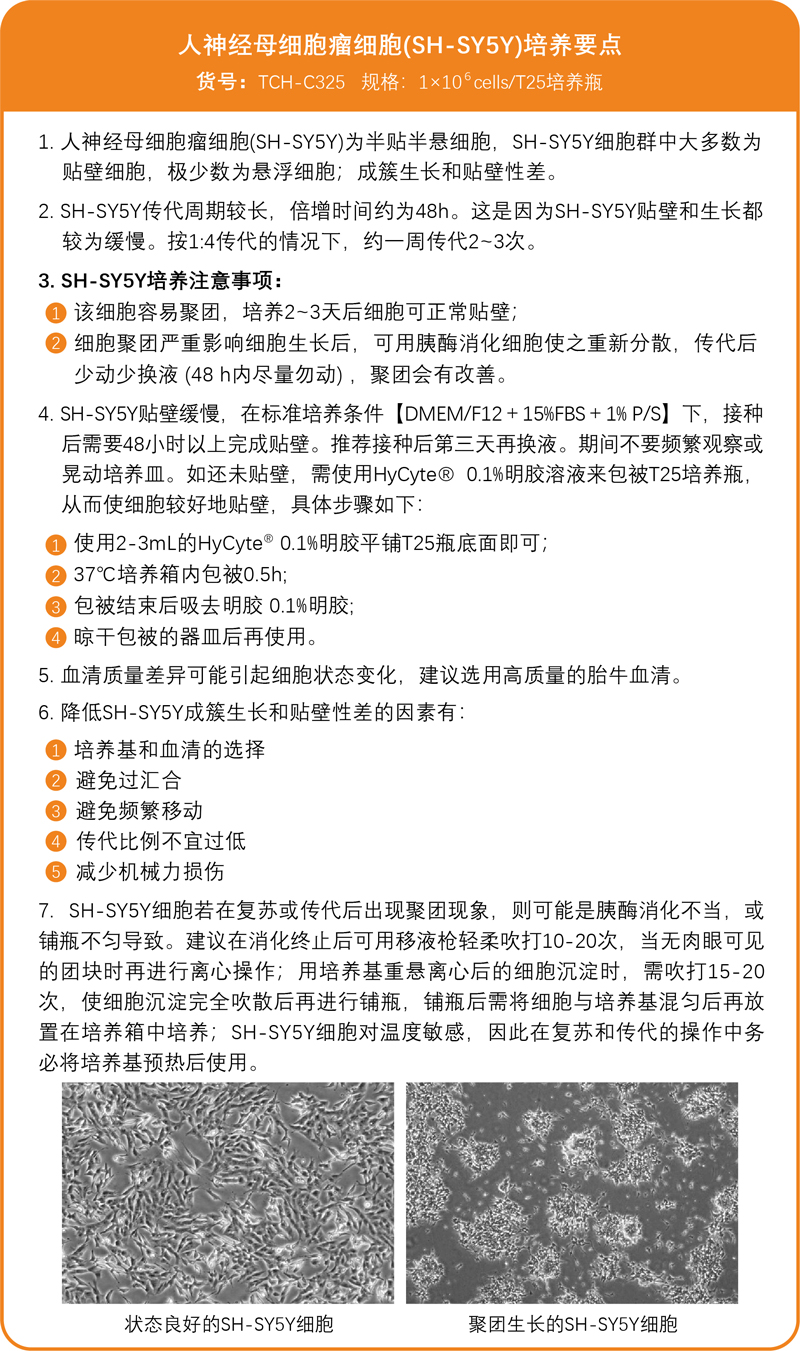 /ueditor/image/2026/01/23/2e547431b8b18015d60ee8c9dd124fa1.jpg SH-SY5Y培养要点.jpg